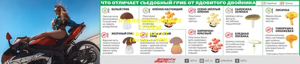 мдпв Касимов