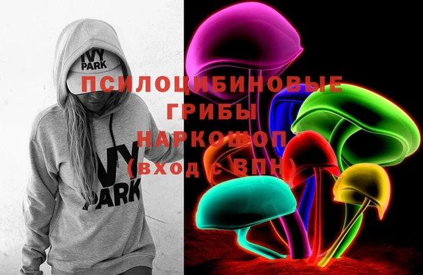 дурь Киреевск