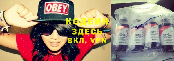 дурь Киреевск